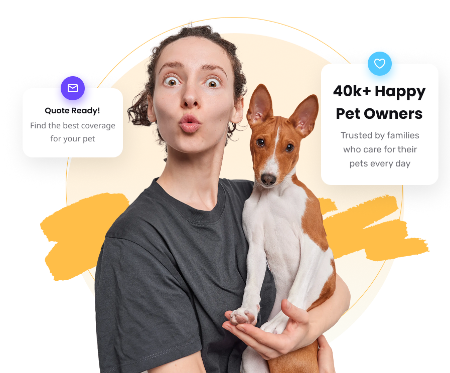 Happy dog and cat with pet insurance coverage